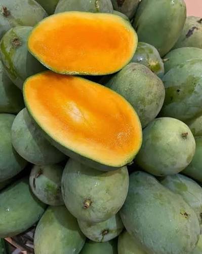 Mangga Harum Manis